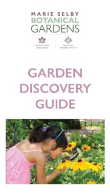 Discovery Guide