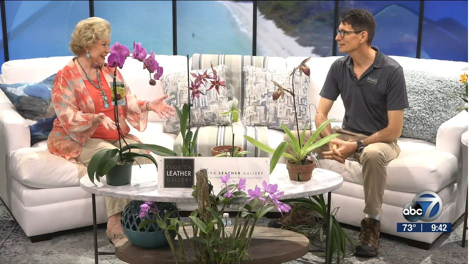 Linda Carson and Mike McLaughlin talk orchid care on ABC7's Suncoast View. 
