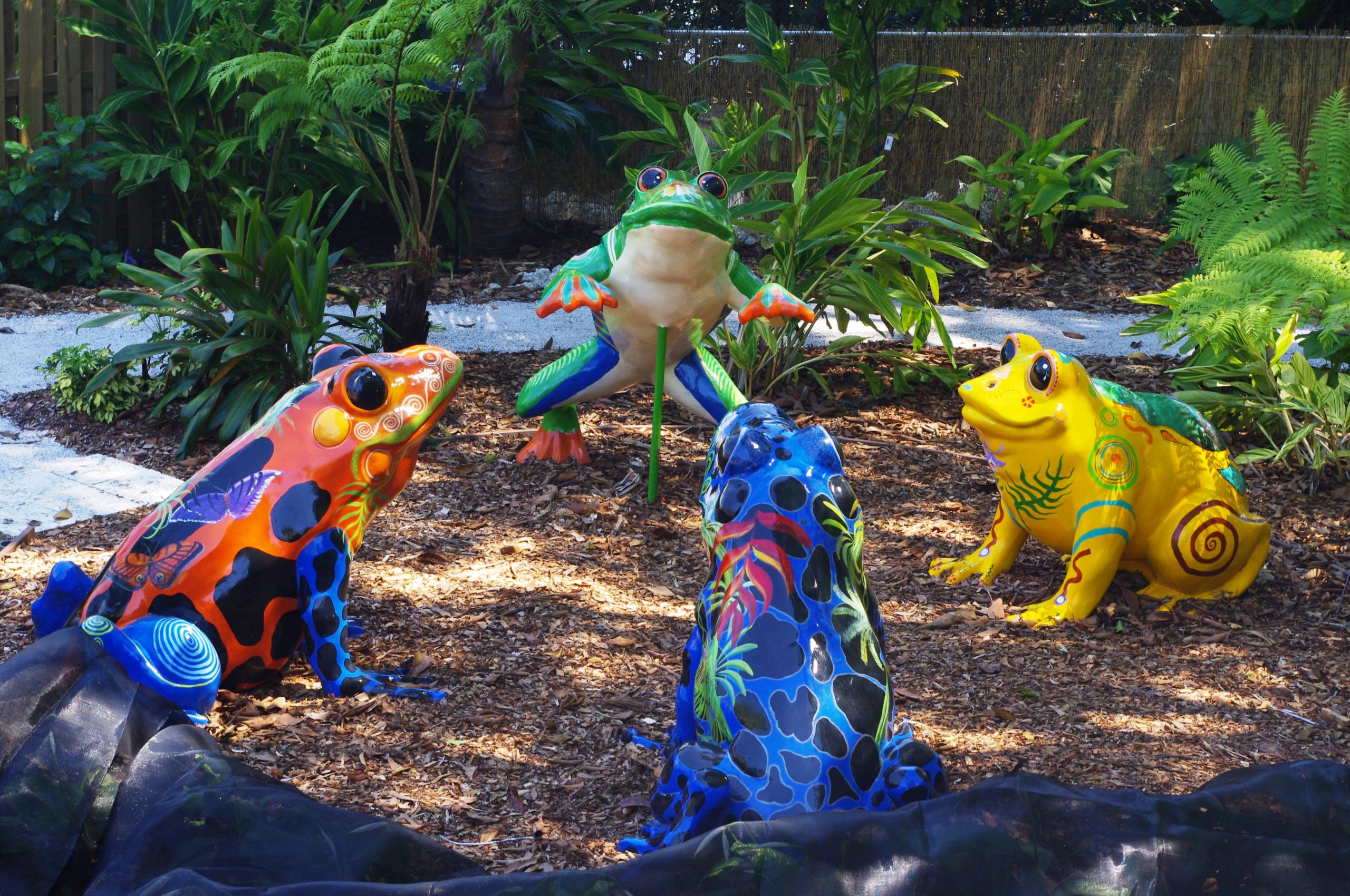 frogs in Children's Rainforest Garden