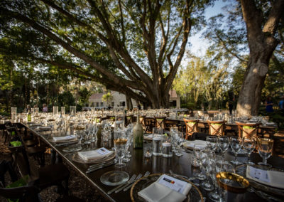 Reception Under the Banyan Trees