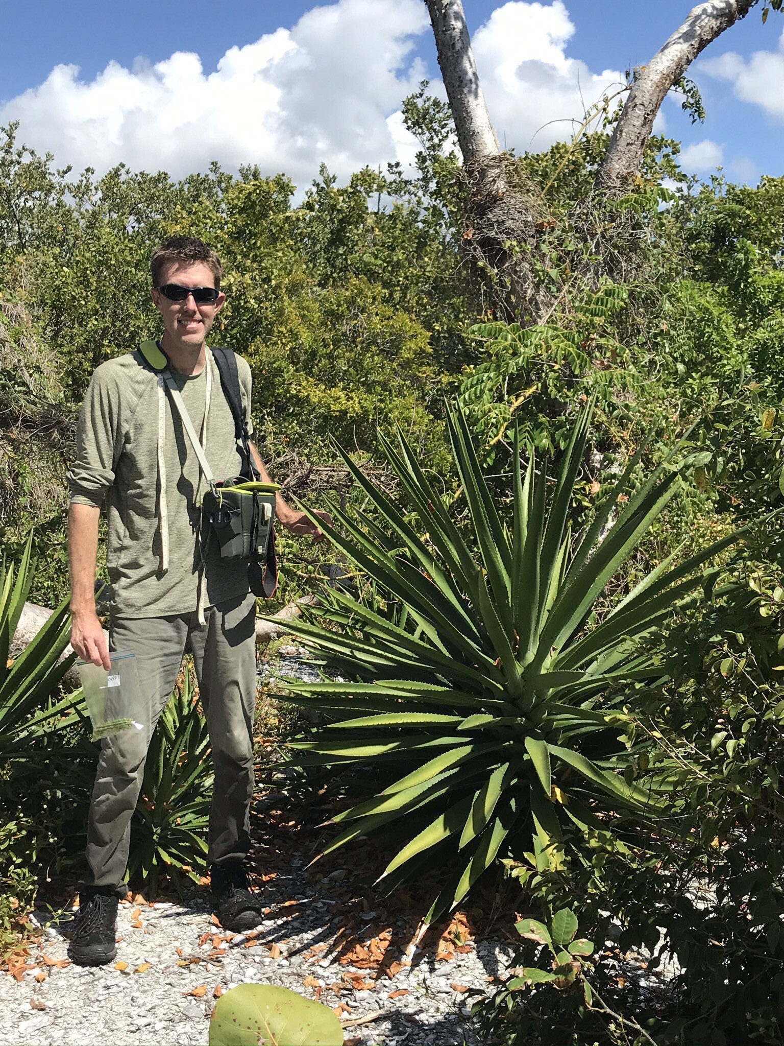 Science Saturday: Scenes from Botany’s field work in southwest Florida