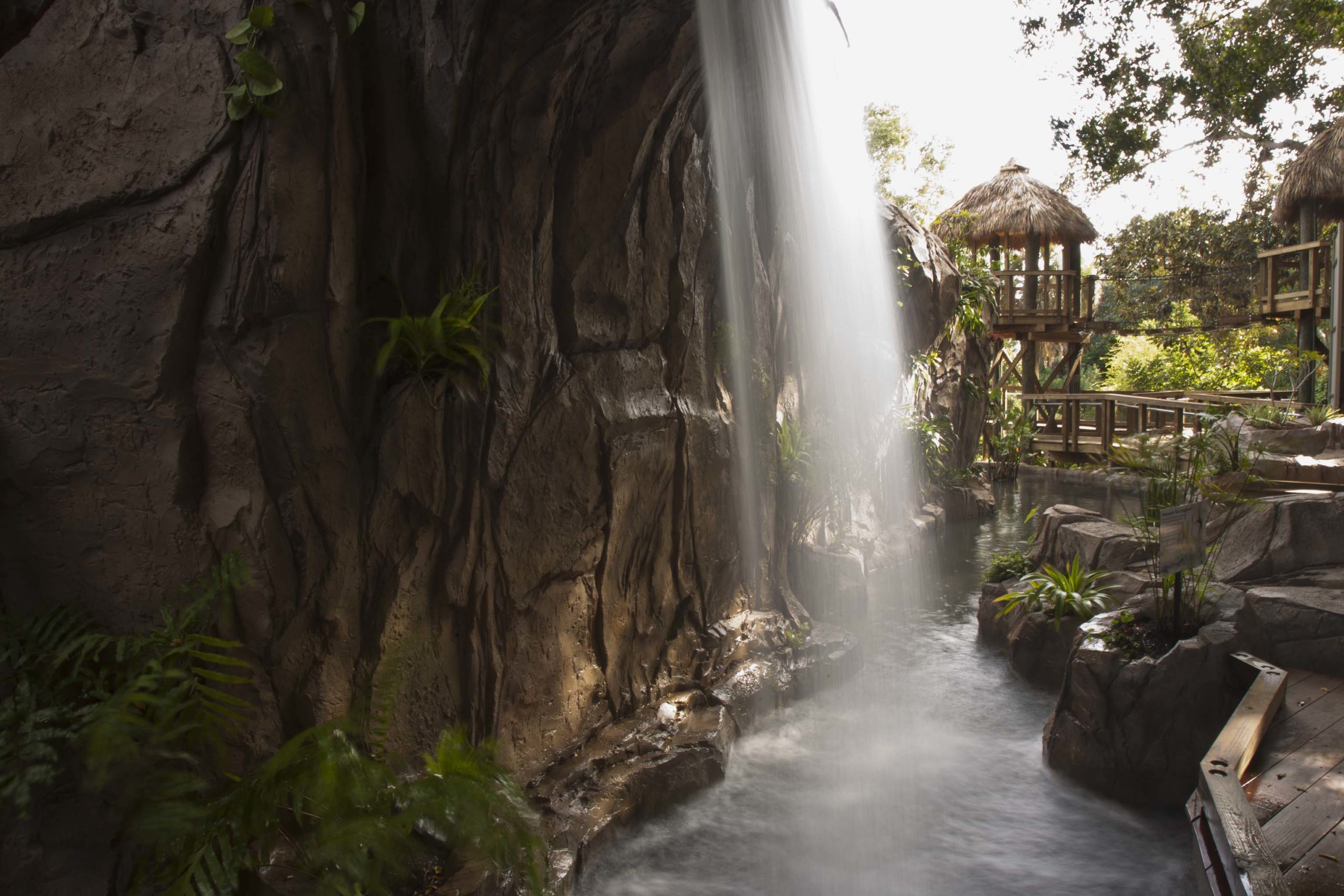 Rainforest Garden Waterfall