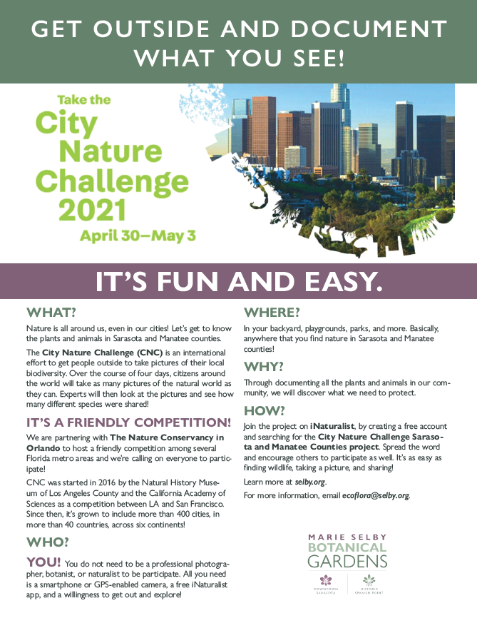 City nature challenge