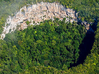 EXPEDITION BELIZE: An Unexplored World of Botanical Mystery Beneath the Earth’s Surface