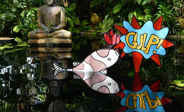 koi Pond with Lichtenstein fish