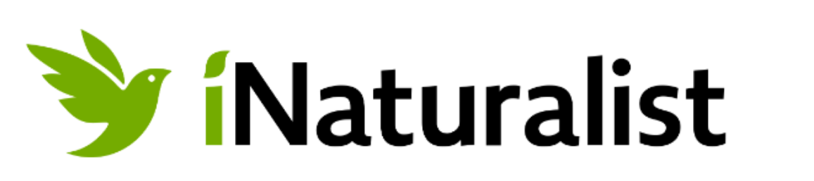 iNaturalist Logo