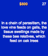 Love Vine Jeopardy Question
