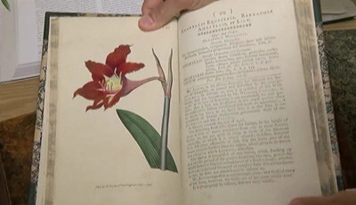 Selby Gardens’ Botanical Research Library