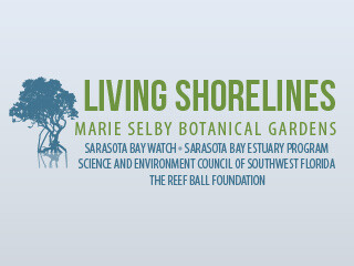 Why Living Shorelines?