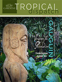 Tropical Dispatch May 2019