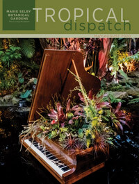 Tropical Dispatch May 2020