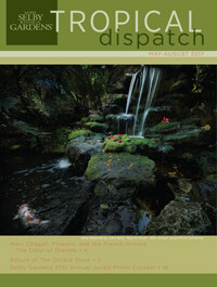 Tropical Dispatch May 2017