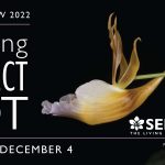 The Orchid Show 2022: Capturing the Perfect Shot