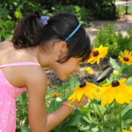 Little Girl inspects flower