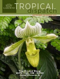 Tropical Dispatch September 2017