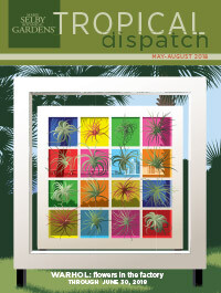 Tropical Dispatch May 2018
