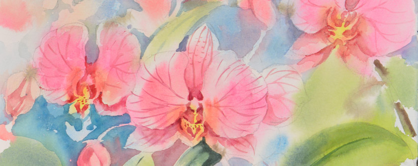 orchids in watercolor